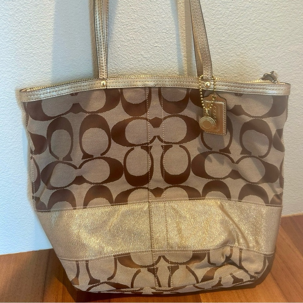 Y2K Coach purse